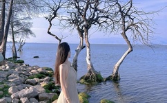 欧美荫蒂添的好舒服A片